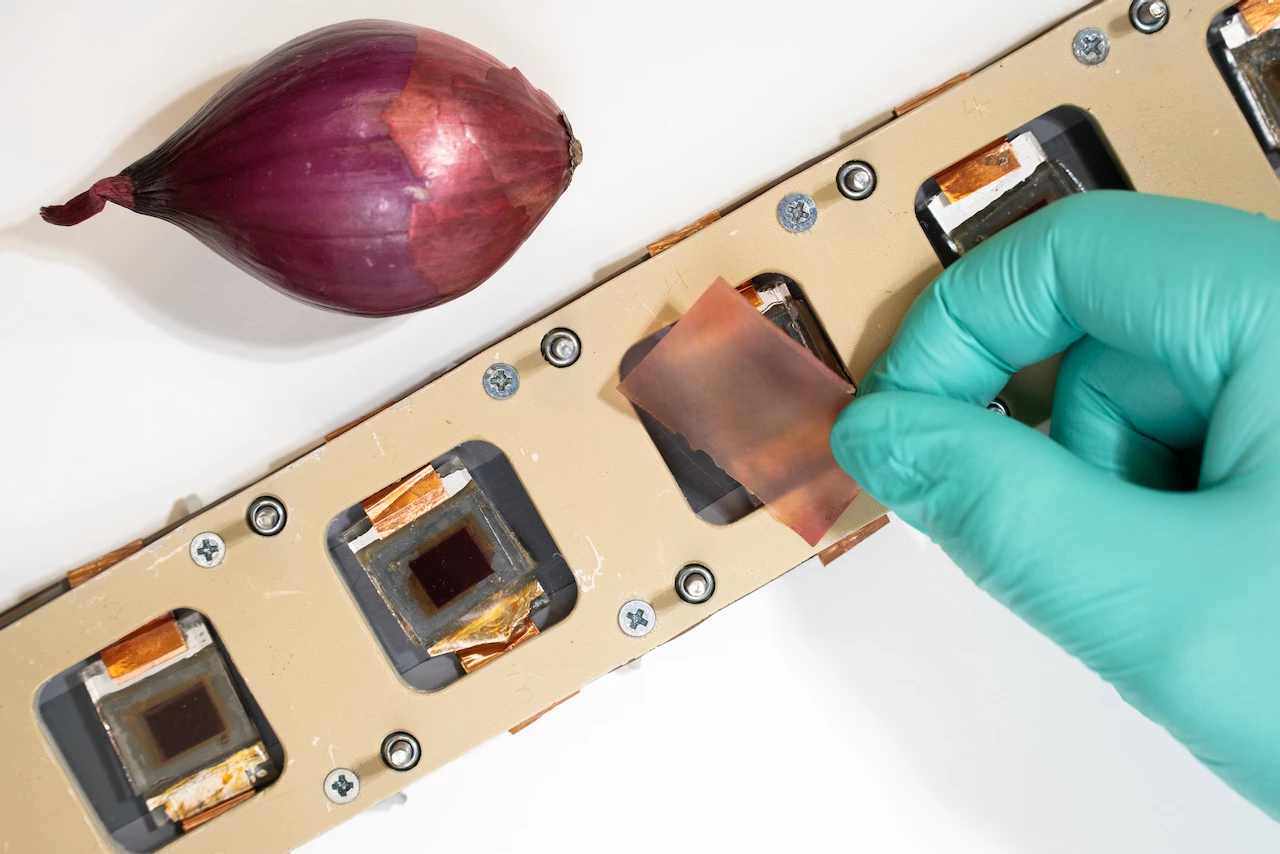 Dye-sensitized solar cells were used in the study, as they're particularly prone to UV damage