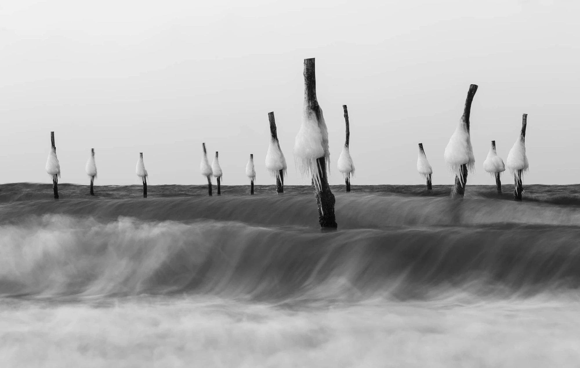 Landscape, second winner. Troels Bjerre, "Knudshoved"