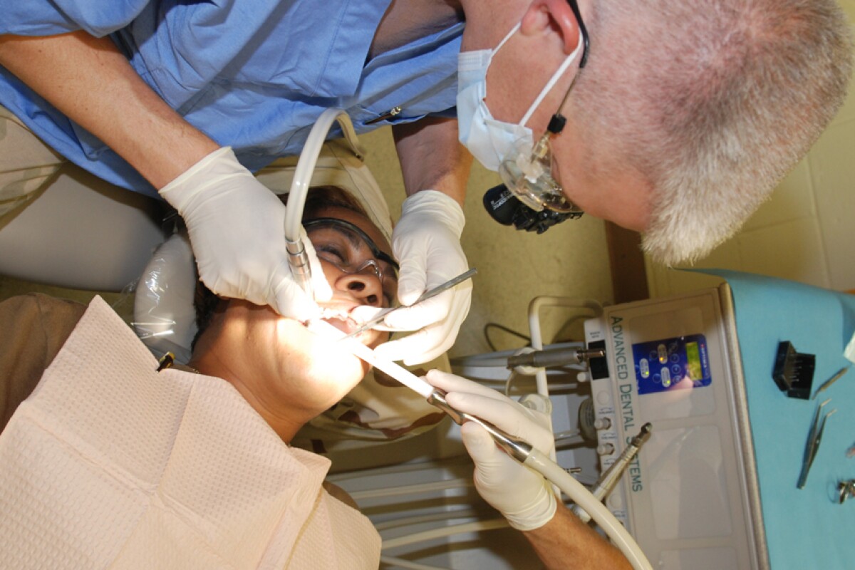 Doing Away With The Dentist S Drill By Helping Teeth Regenerate Themselves