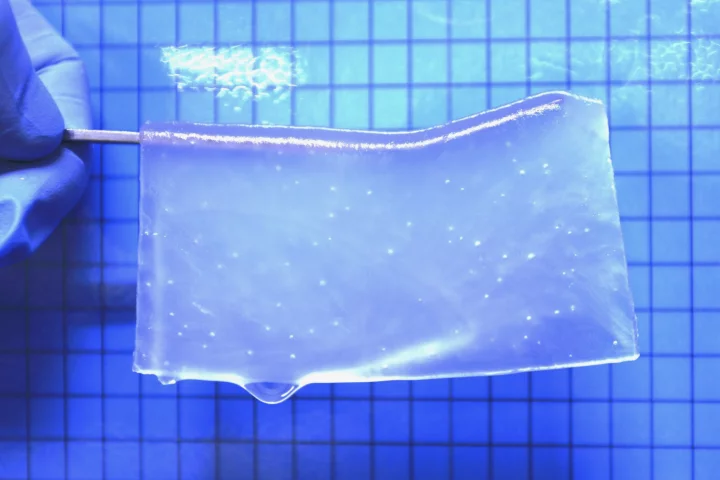 The hydrogel is composed of equal parts positively and negatively charged monomers