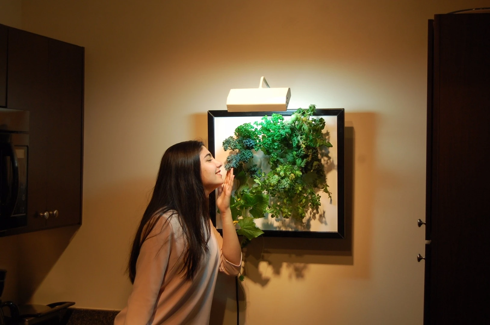 The Wall Garden waters the plants automatically via aeroponic technology