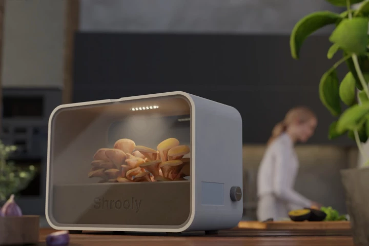 Shrooly is presently on Indiegogo