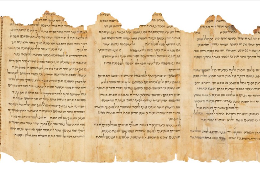 A portion of the Temple Scroll, the best preserved of the nearly 900 Dead Sea Scrolls