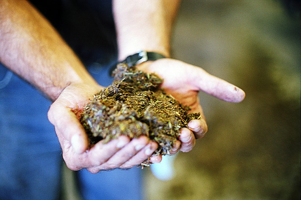 The mulched compost created by The Muncher (Image: Ecologico-Logic)