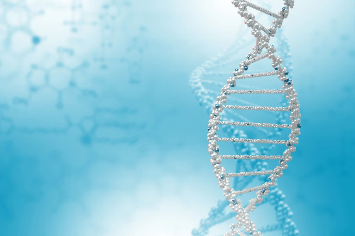A still experimental HIV therapy involves a transplant of stem cells from a donor with a rare genetic mutation