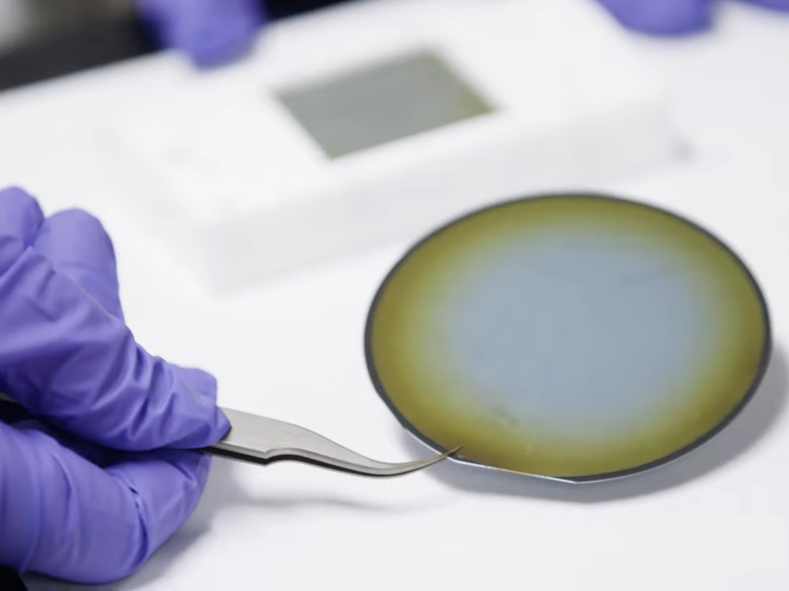 The photocatalyst, made from indium gallium nitride nanostructures grown onto a silicon surface, exhibits self-healing properties and can withstand concentrated sunlight up to the equivalent of 160 suns