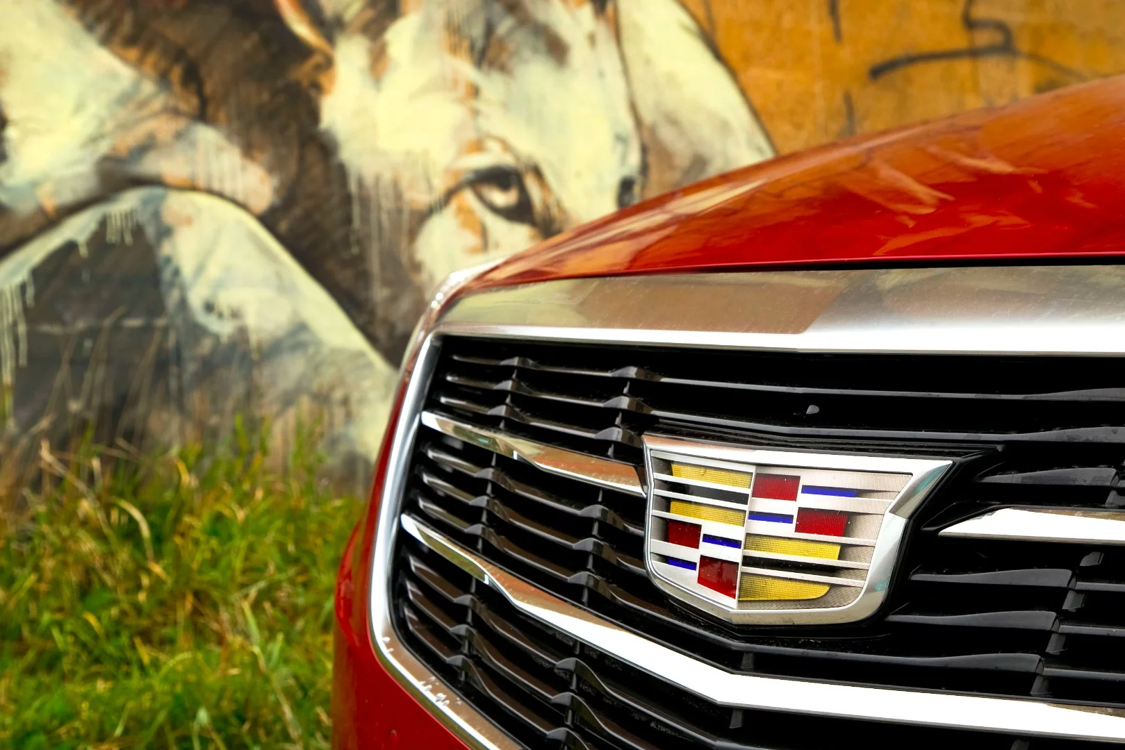 0-60 mph (96 km/h) times are respectable at 5.6 seconds and thanks to the tight 8-speed gearbox