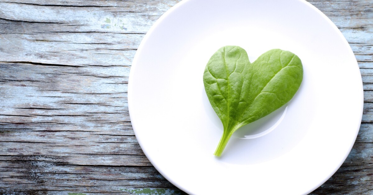 Spinach leaves provide vascular structures for labgrown human cardiac