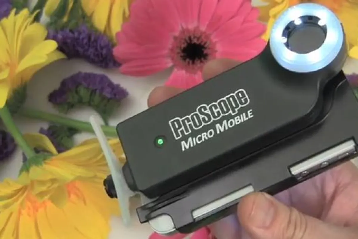 Bodelin's ProScope Micro Mobile is a microscope that mounts on the iPhone
