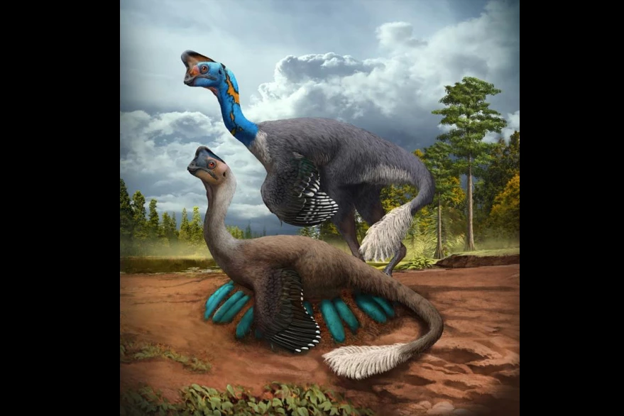 An illustration depicting the oviraptorosaur brooding its nest