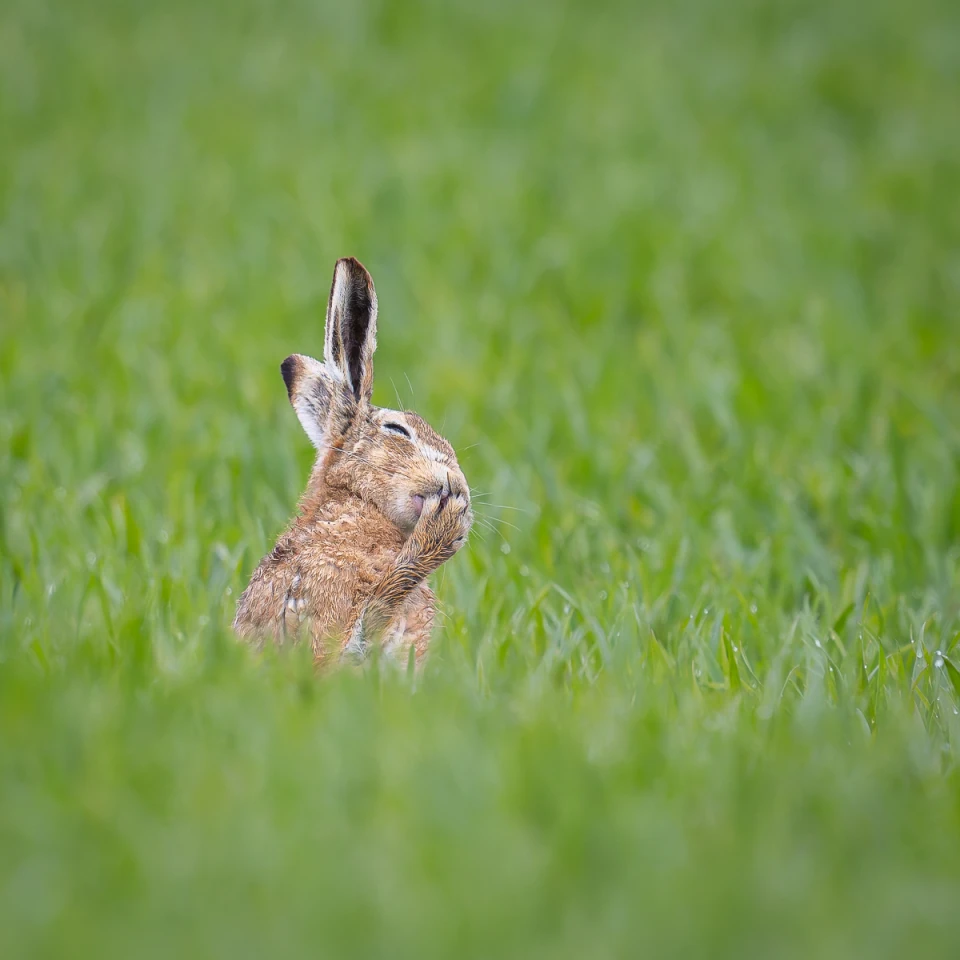 "Oops … I think I just parped" – Carolyn Moore (UK)