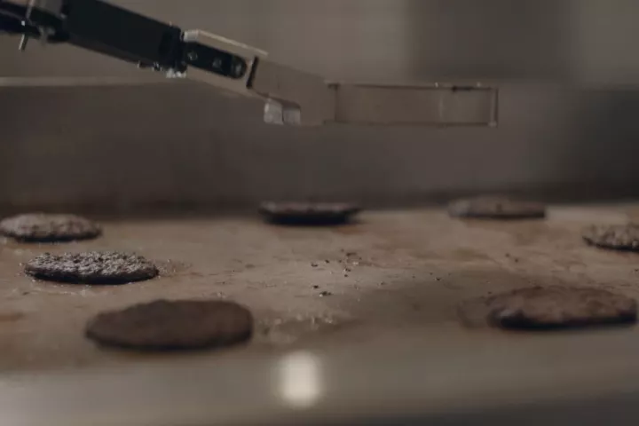 Flippy flips hamburgers, but is designed to be a more general kitchen assistant