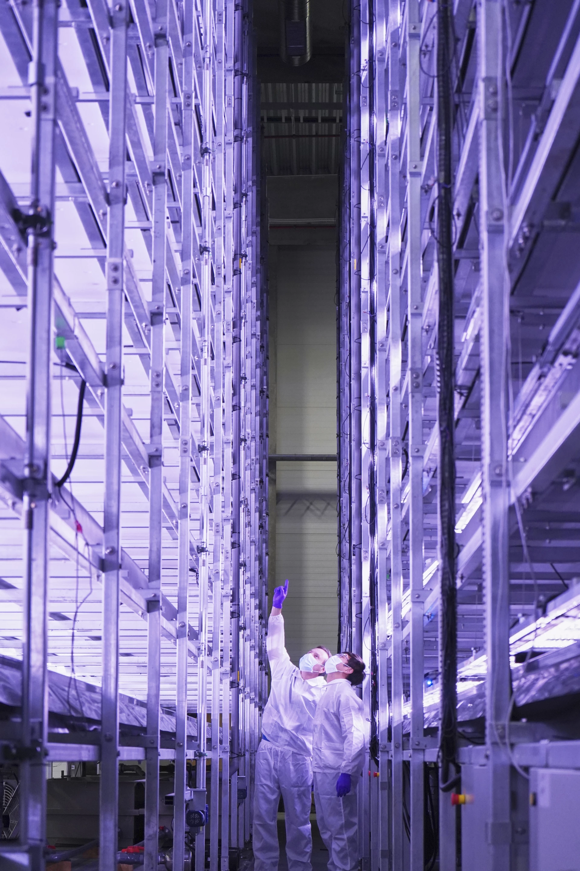 The salad and herb crops are grown across 14 stories, with the LED lighting powered by certified wind energy
