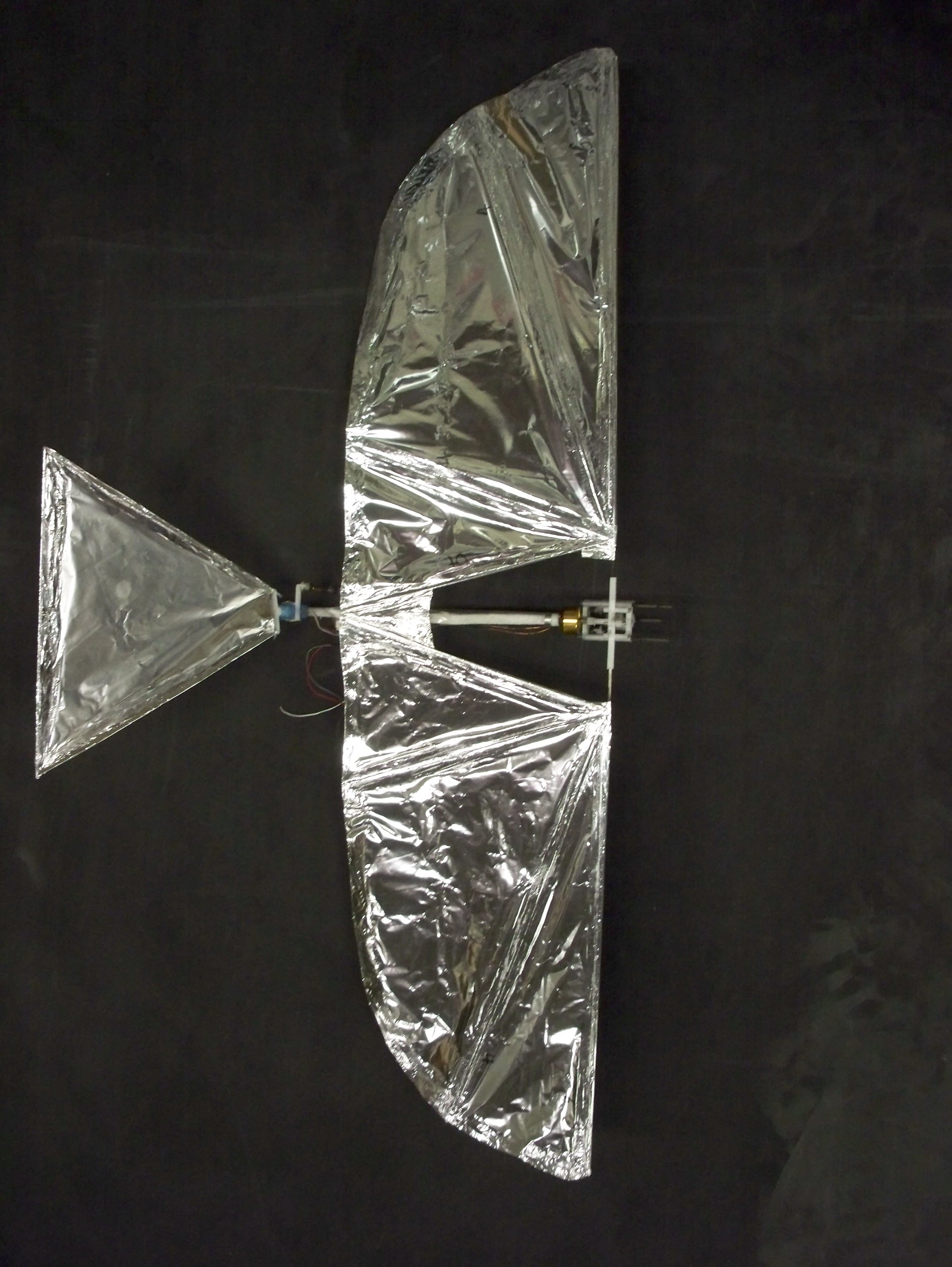 The UMD Jumbo Bird was equipped with a small camera to record flight tests