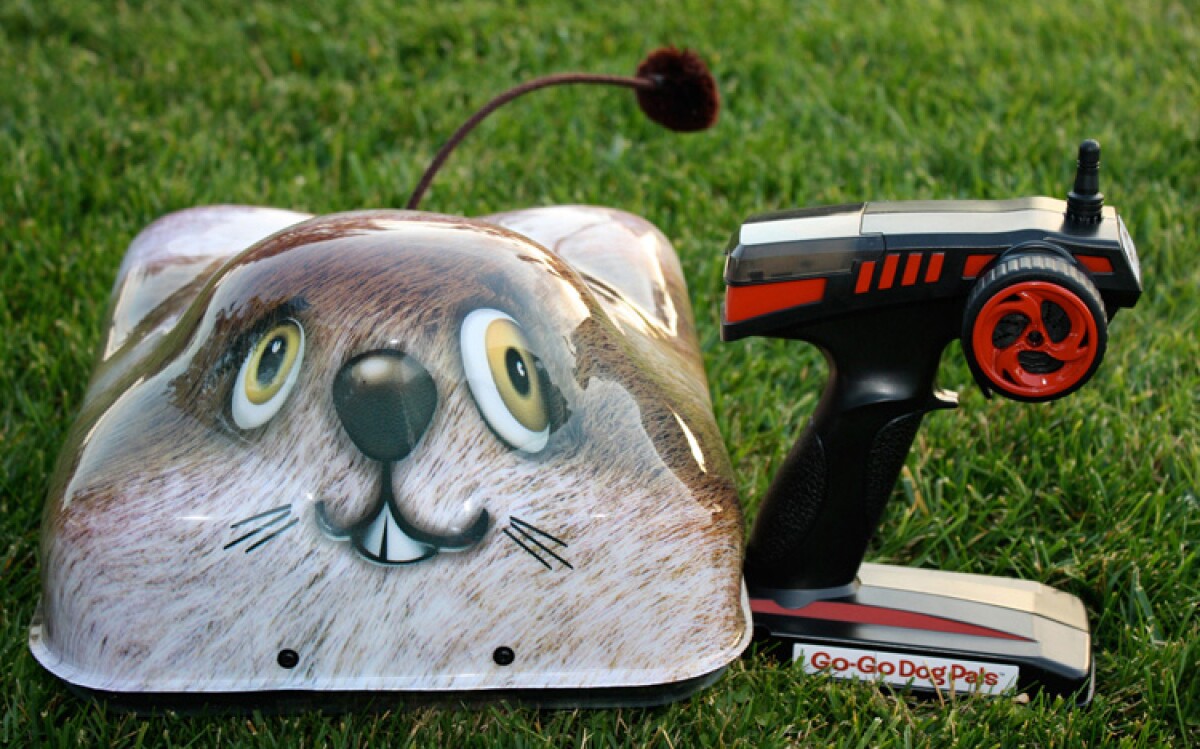 Remote Control Squirrel Toy For Dogs Home Alqu