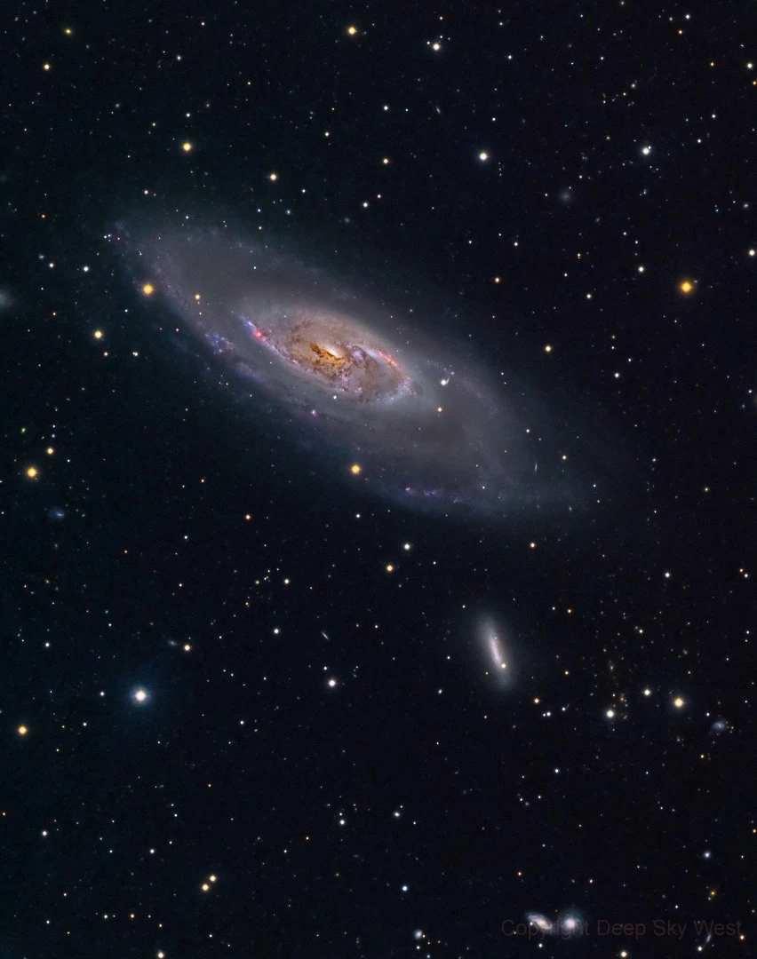 M106 - First Image A-P RH305