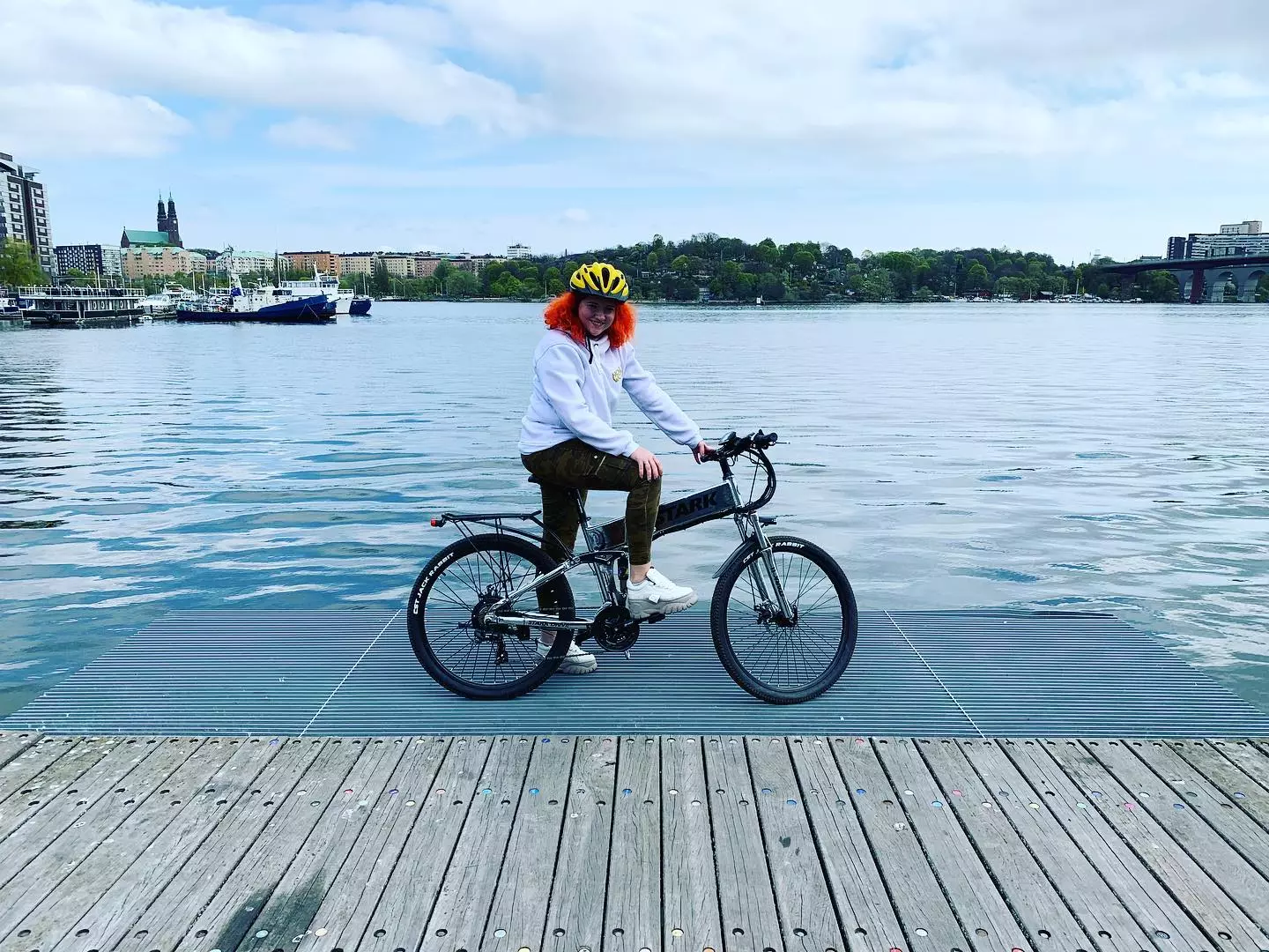 The Stark Drive Torque e-bike