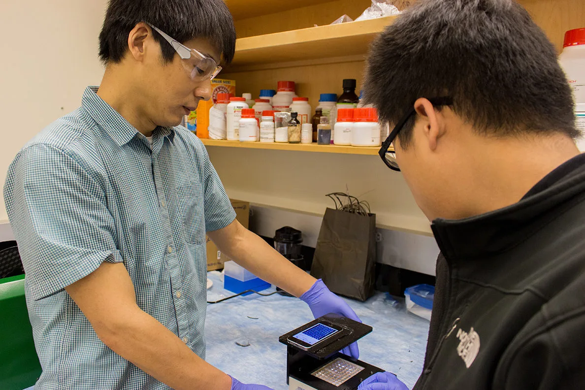 WSU Professor Lei Li (left) and graduate student Yu-Chung Chang