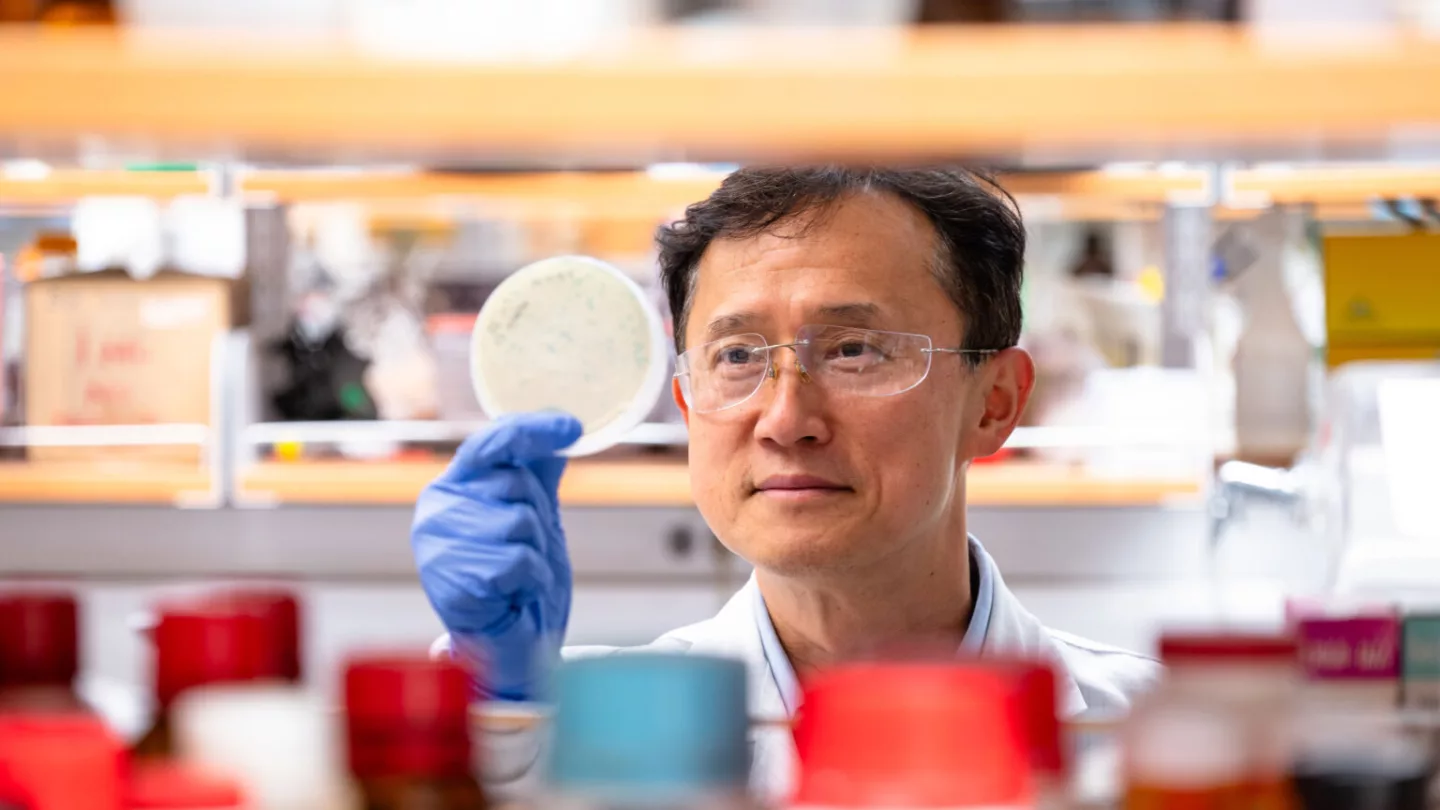 Principal investigator Seung-Wuk Lee at work in his lab
