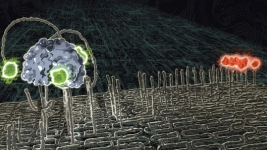 Molecular robot created from DNA