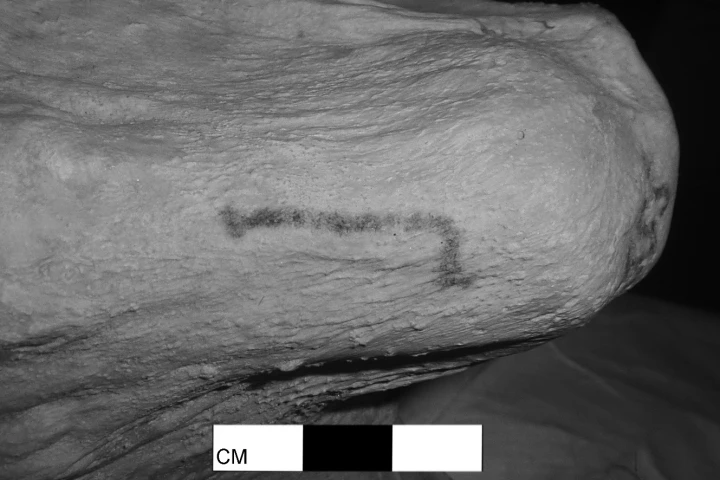 The tattoos discovered on the Egyptian mummies are the oldest figurative tattoos ever found on human remains