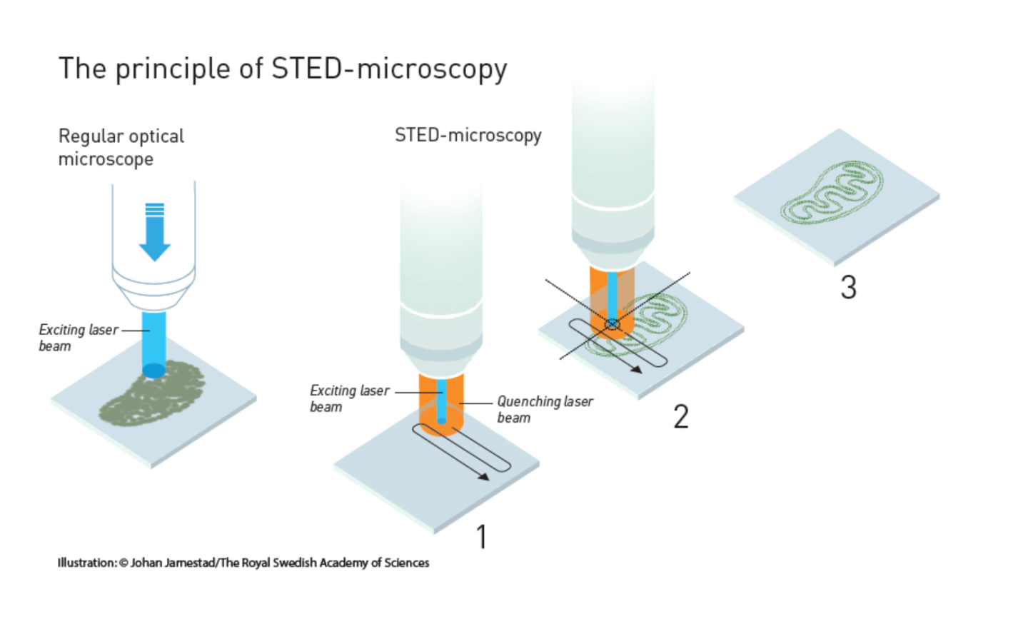 Diagram of STED microscopy