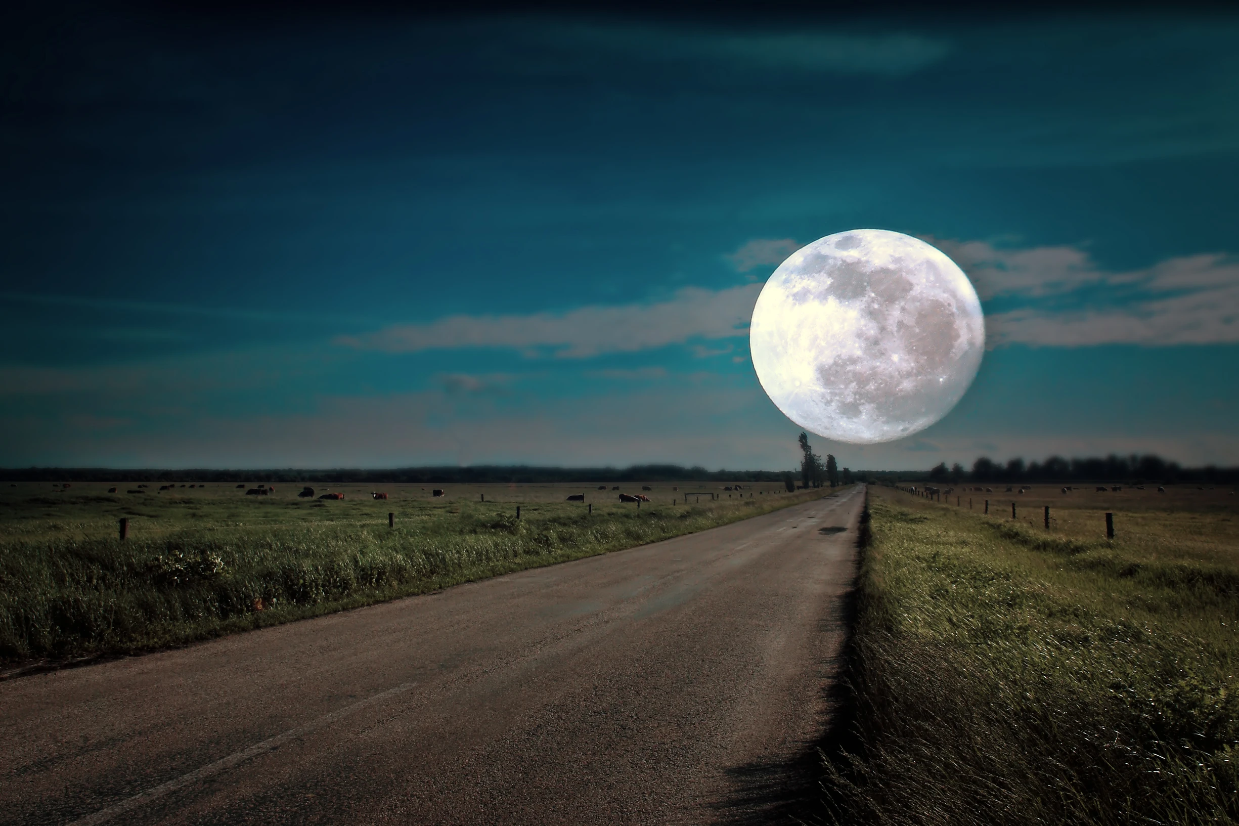 Imagine driving to the moon and back again six times (Photo: Balazs Kovacs /Shutterstock)