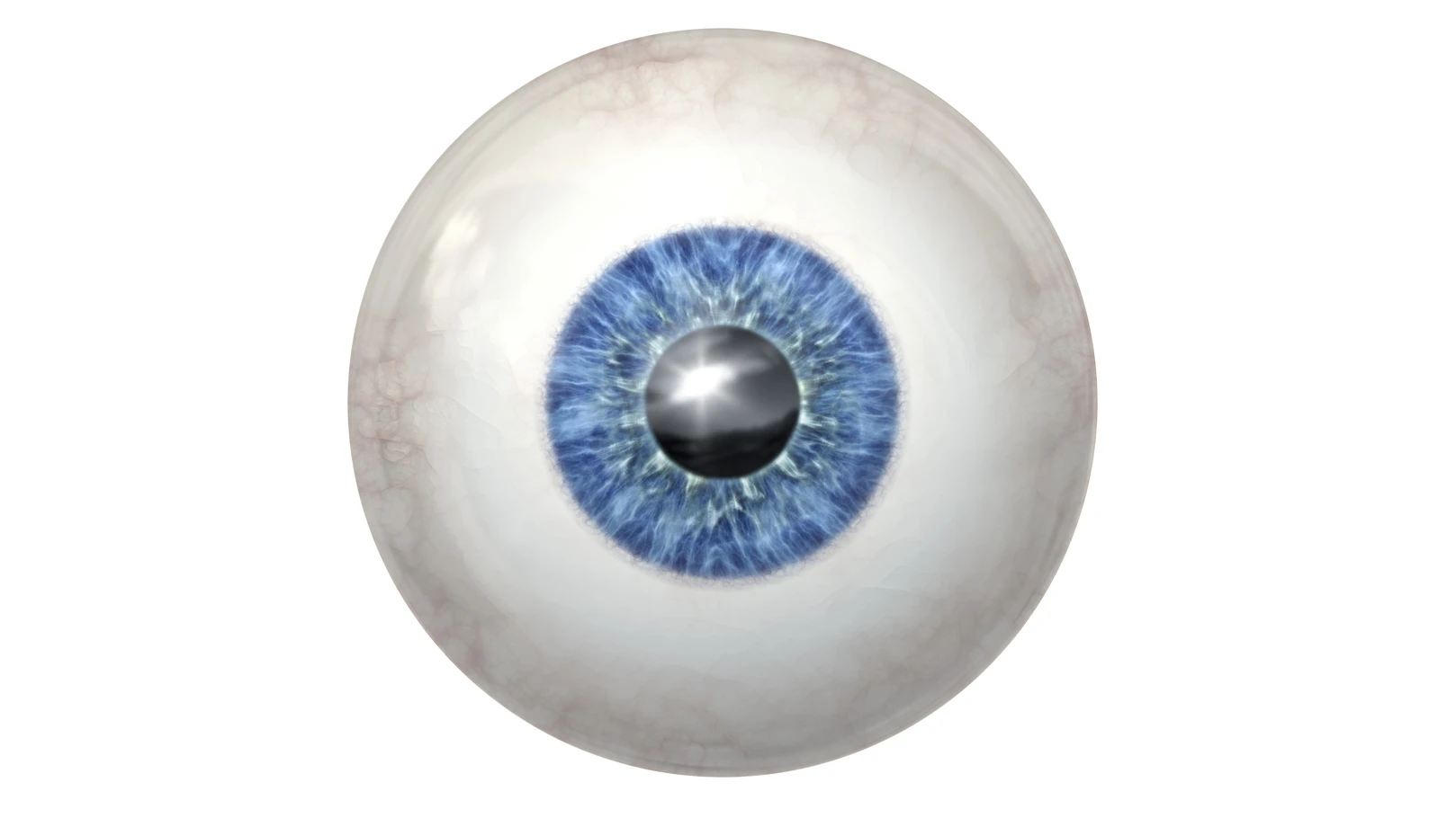 Physicians at the University of Wisconsin-Madison have succeeded in growing human retinal tissue from stem cells (Image: Shutterstock)