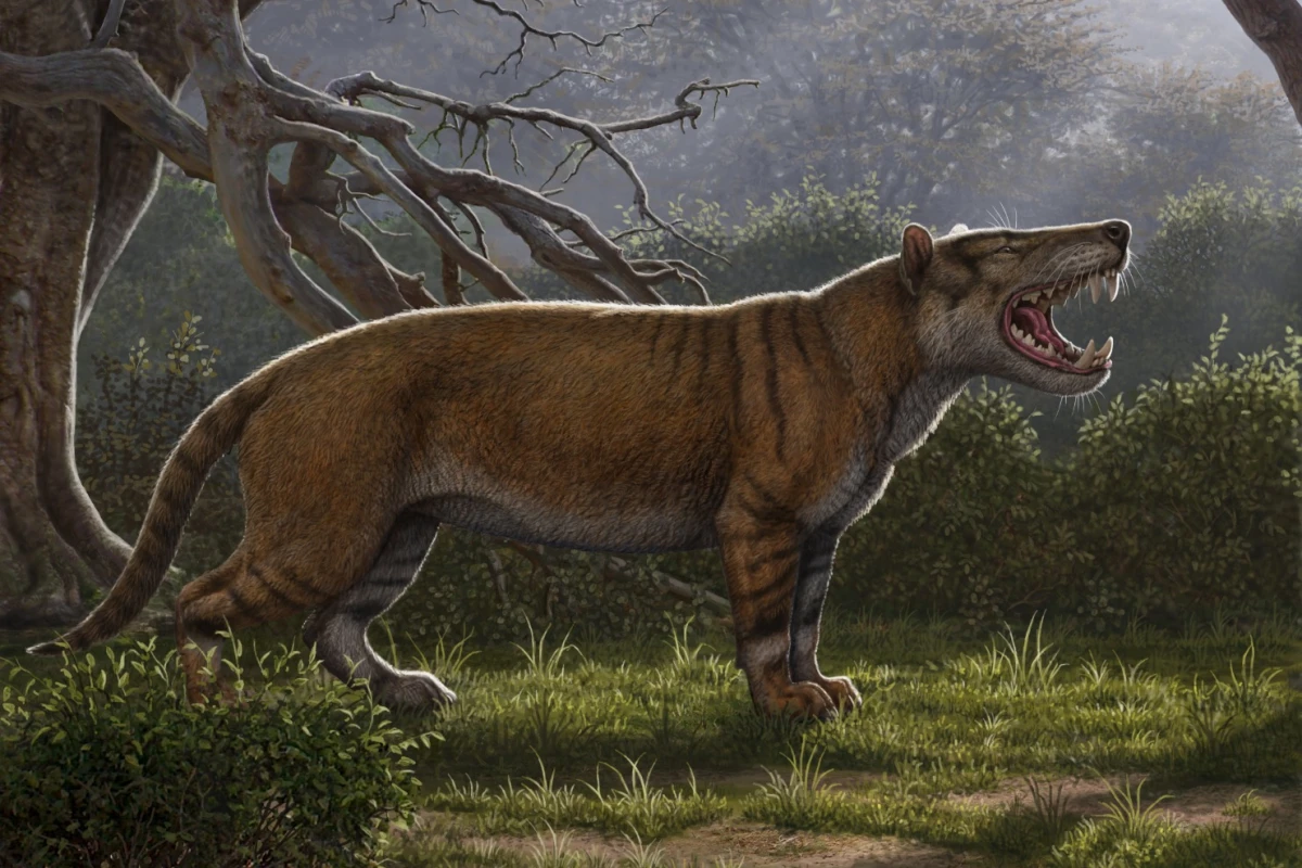 A recreation of what Simbakubwa Kutokaafrika may have looked like in the wild