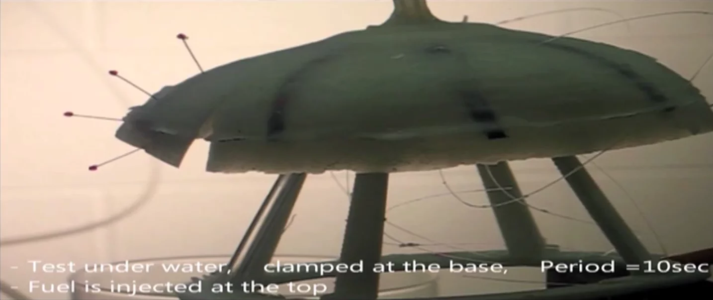 Robojelly's actuators replicate the muscles of an actual jellyfish - specifically the moon jellyfish (Aurelia aurita)