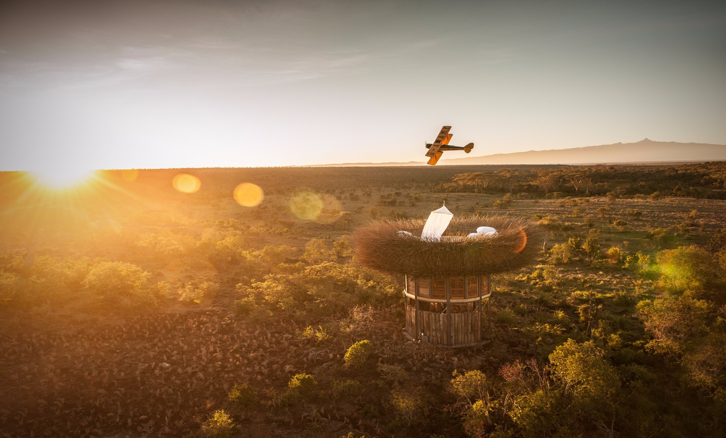 Bird Nest hotel sleeps Kenyan safarigoers above the treetops