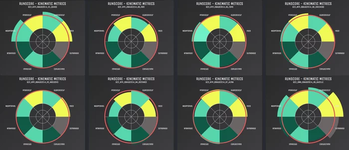 The Pro package provides access to select features such as the ability to create and access data displaying how different shoes affect performance