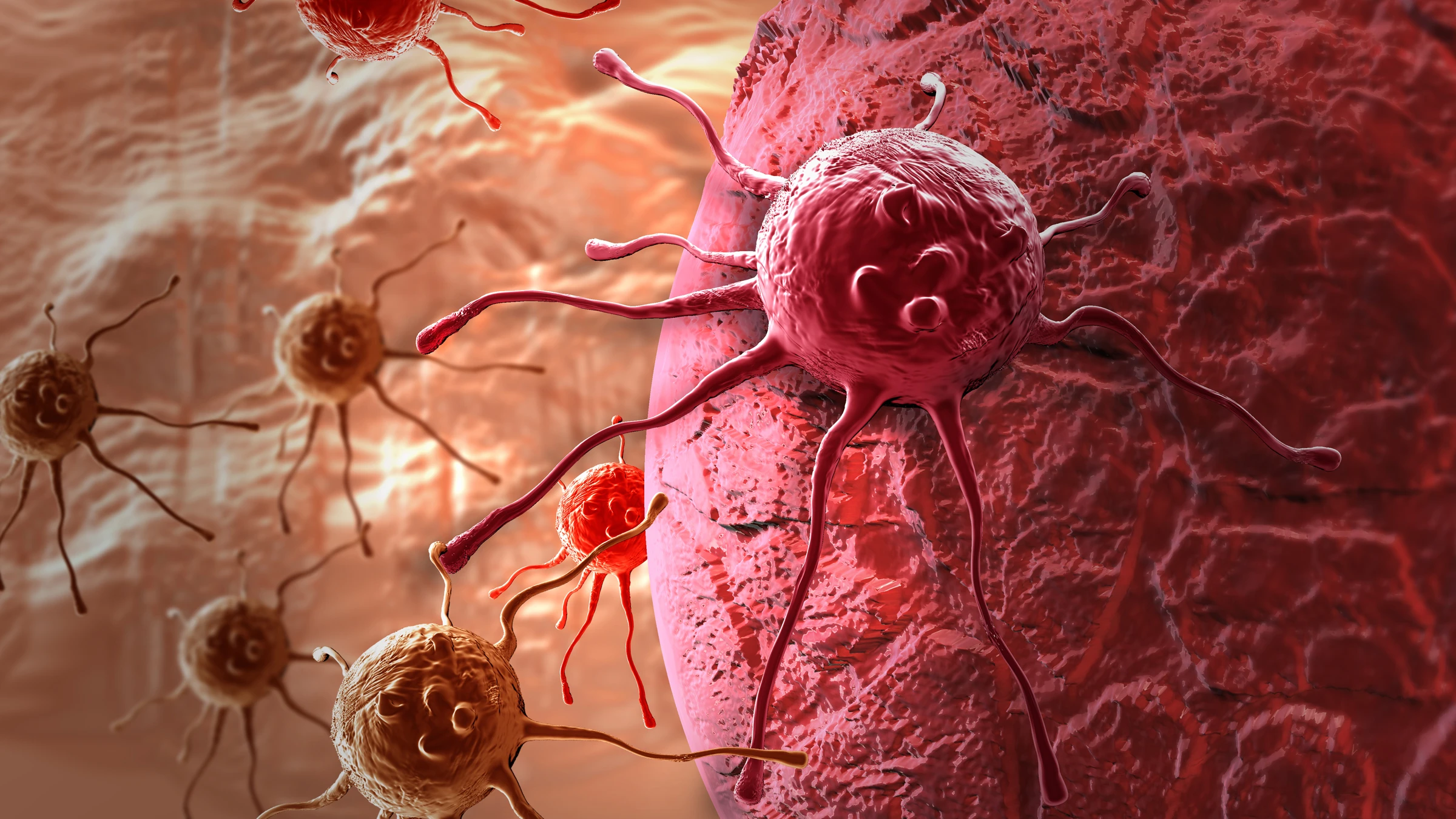 A new multi-purpose nanoparticle has shown to possess both diagnostic and drug-delivering properties to treat cancer (Image: Shutterstock)
