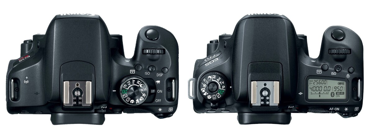 The Canon EOS 77D (right) benefits from a top LCD panel compared to the EOS 800D (the Rebel T7i in the US)