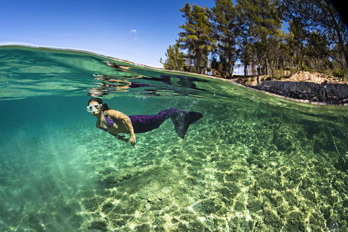 The amphipac has a 100-mm dome lens for getting those cool half-above/half-below-the-surface shots