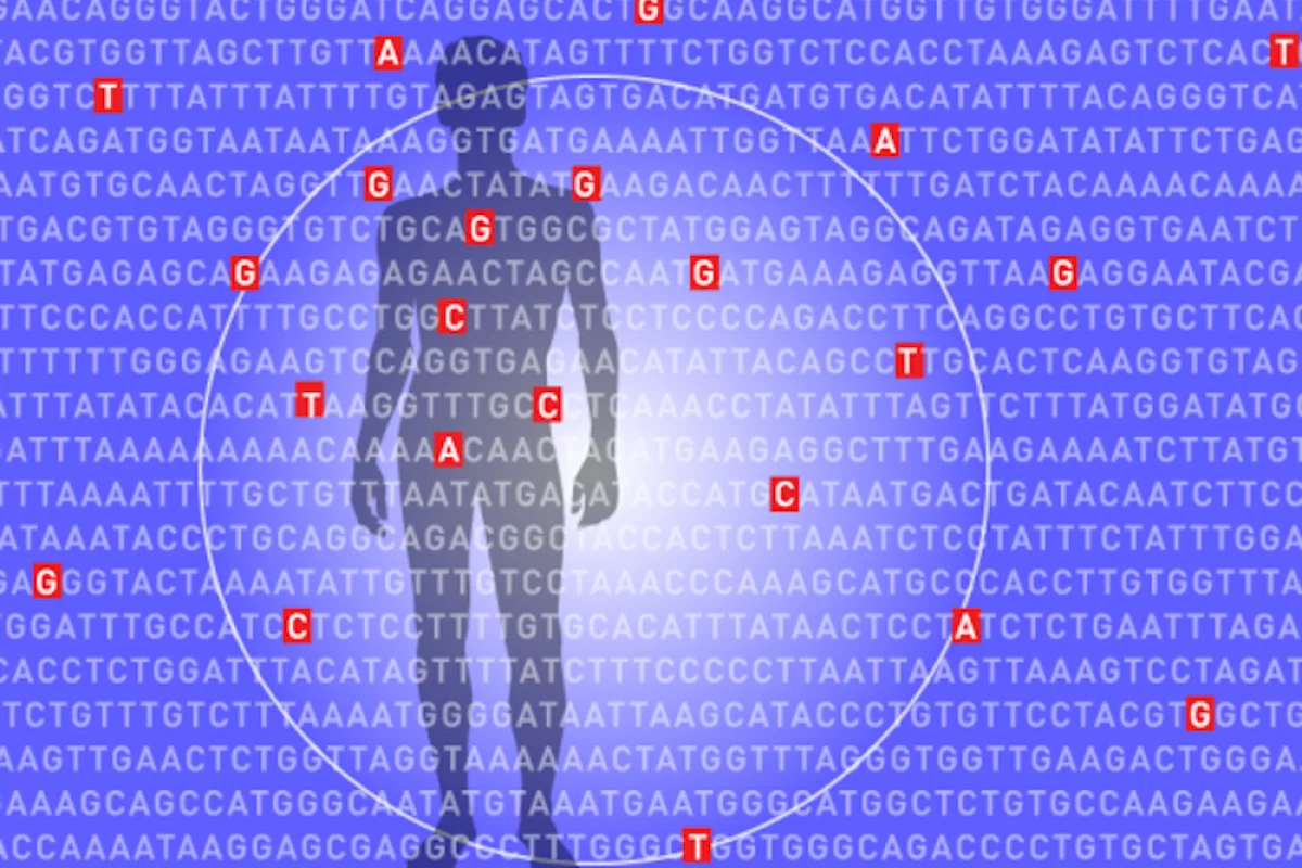 The algorithm examines millions of places in a single genome to calculate a person's overall genomic risk factor for developing certain diseases
