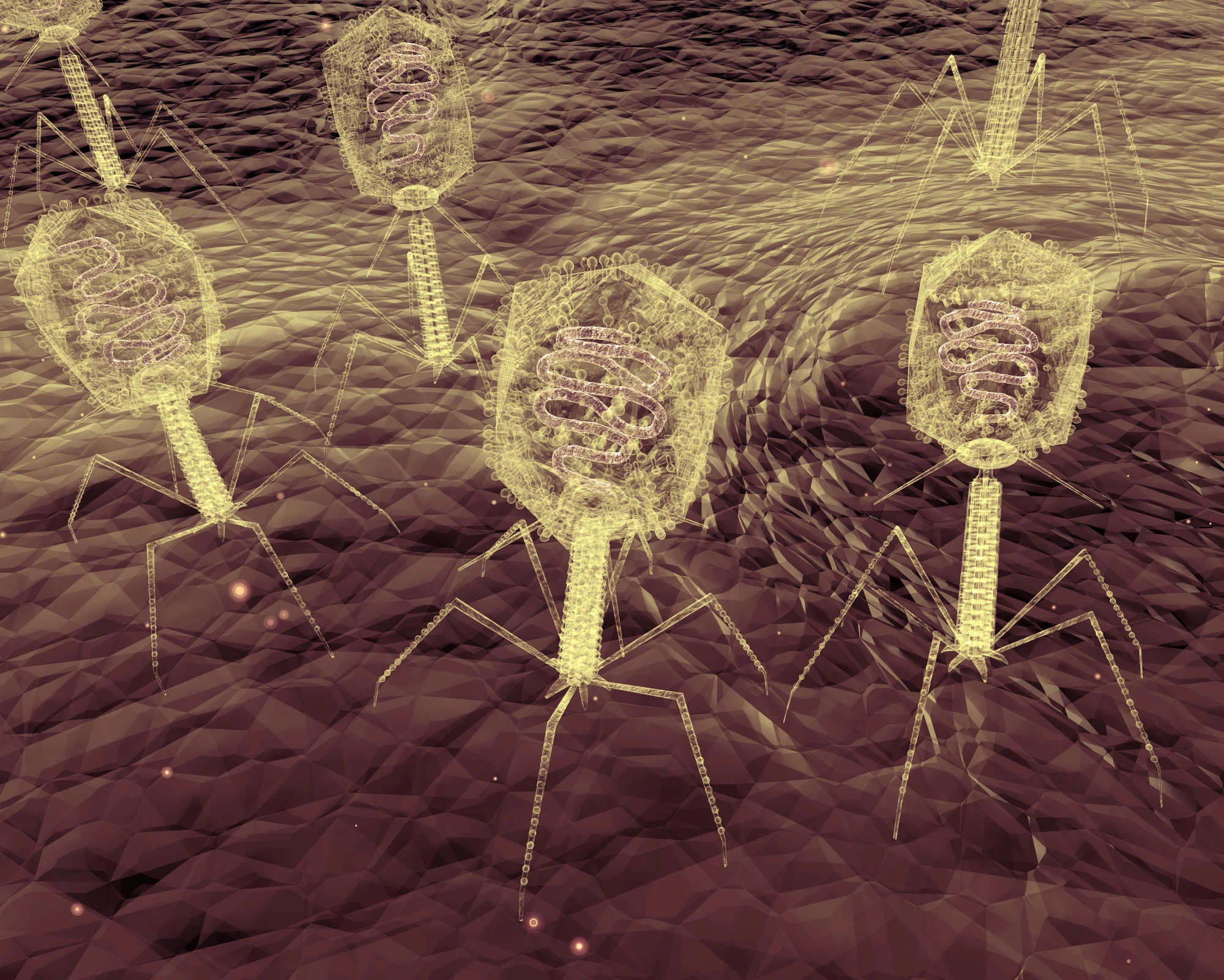 Bacteriophages – viruses that hunt down bacteria – have been used to deliver the CRISPR gene-editing system to bacteria