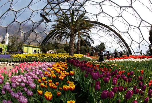 Eden Project Biome(Image by Eden Project)