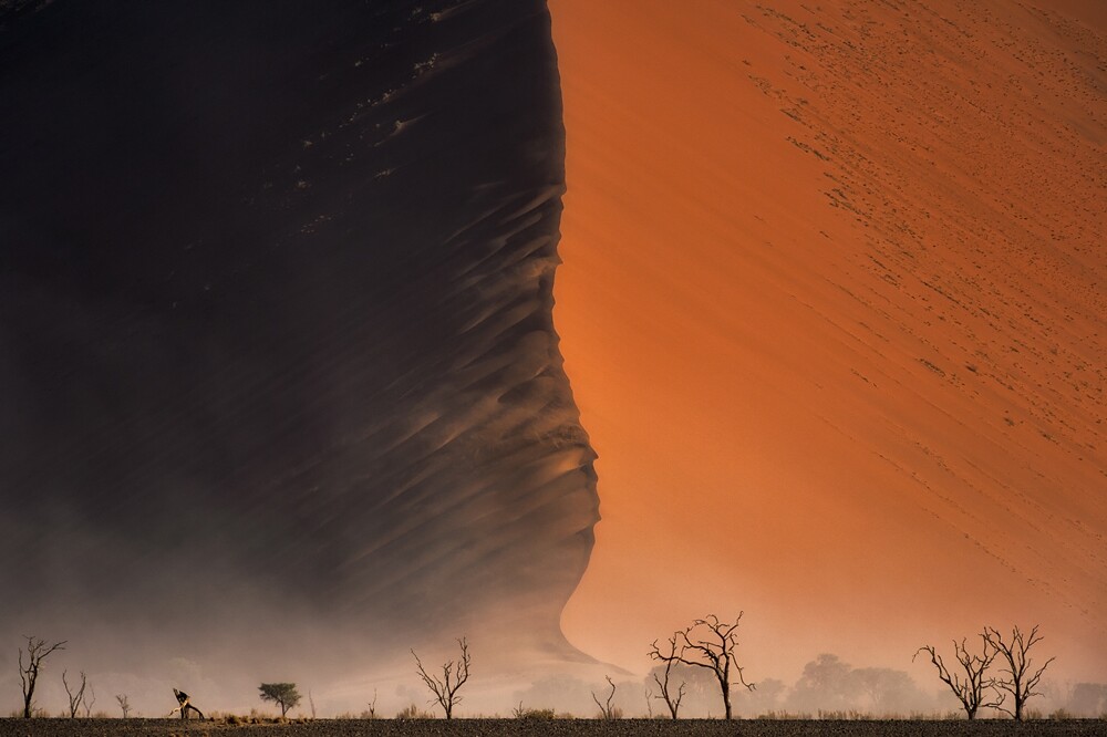 Winner of 3rd place in the Professional Nature category: Jirawat Plekhongthu - Namib Desert. The Deadvlei, Namib-Naukluft Park in Namibia