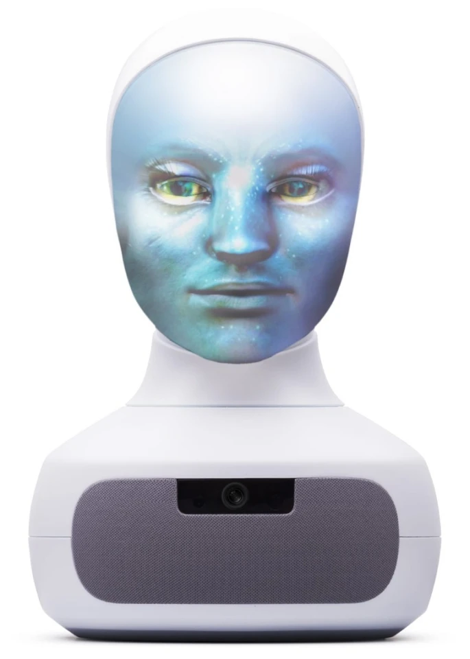 It's suggested that a variety of unconventional faces can be programmed into the system