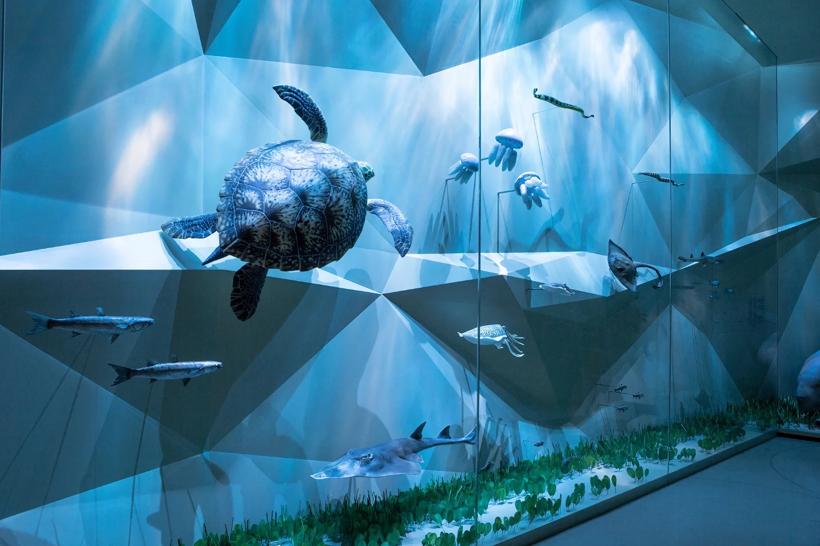 The National Museum of Qatar's interior takes around two hours to walk through