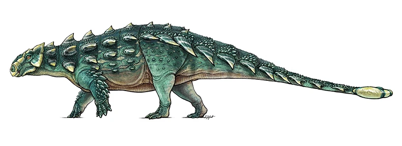 An artist's impression of what the new dinosaur Zuul might have looked like