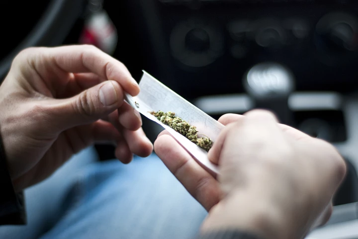 A study has found that people who exclusively use marijuana have high levels of dangerous metals in their blood and urine
