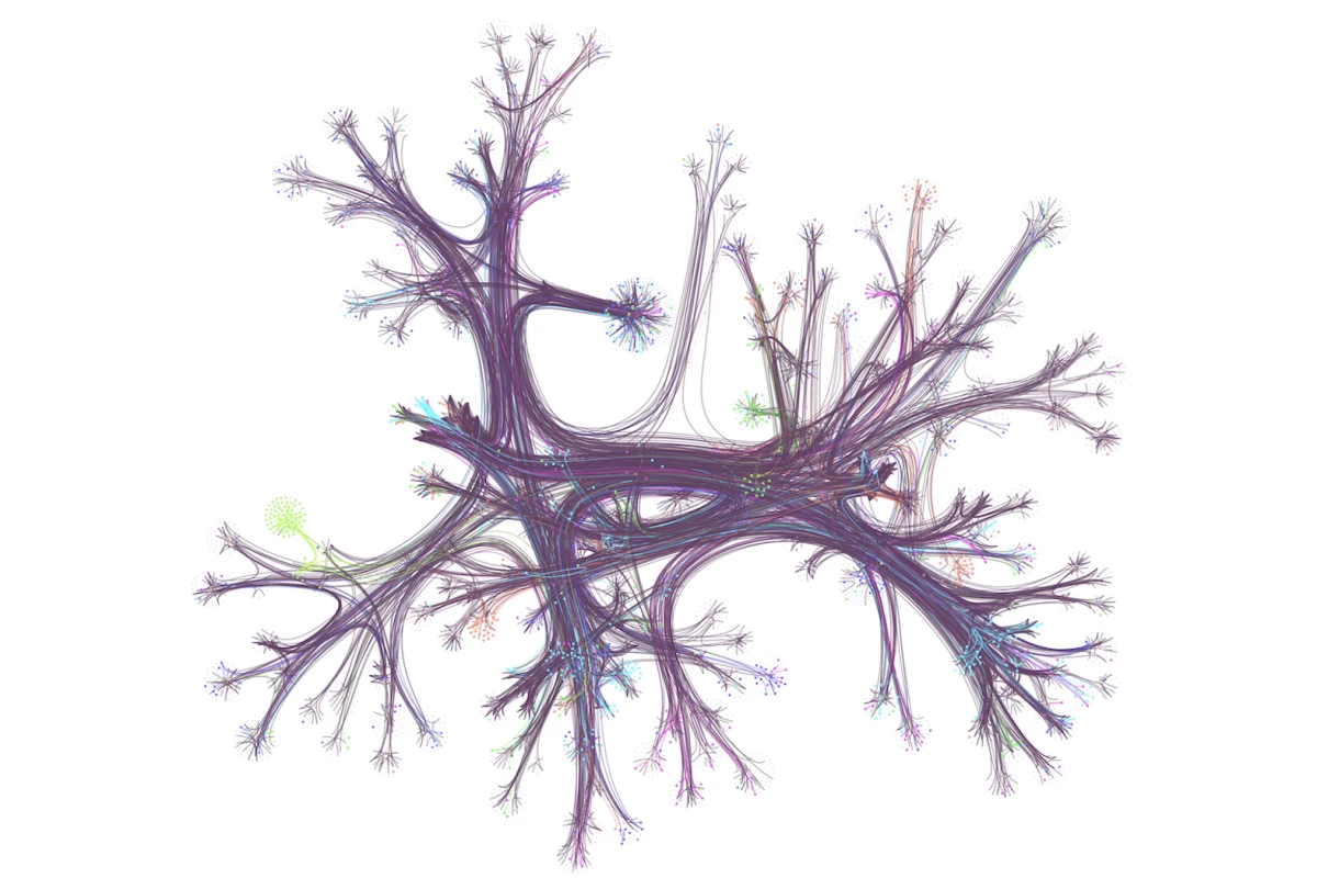 Hyperlink network from English Wikipedia, with only 0.1% of articles (nodes) and their connections (edges) visualized. Seven different reader journeys are highlighted in various colors. The network is organized by topic and displayed using a layout that groups related articles together