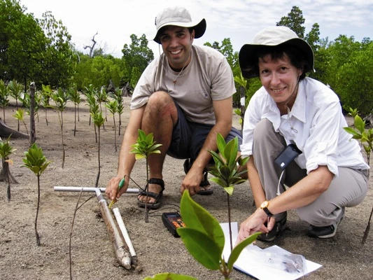 Earthwatch's "Tidal Forests of Kenya" expedition (Photo: Christian Barrus)