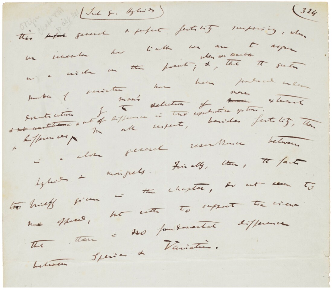 $647,769 | Autograph manuscript leaf from 'Origin of the Species' by Charles Darwin | Auction House: Sotheby's | Sale price: £490,000 | Official Estimate: £120,000 to £180,000 | Date of sale: July 9, 2018