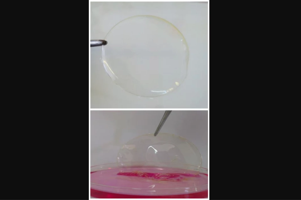 A sample of the dressing pictured against a neutral backdrop (top) and on a simulated wound (bottom)