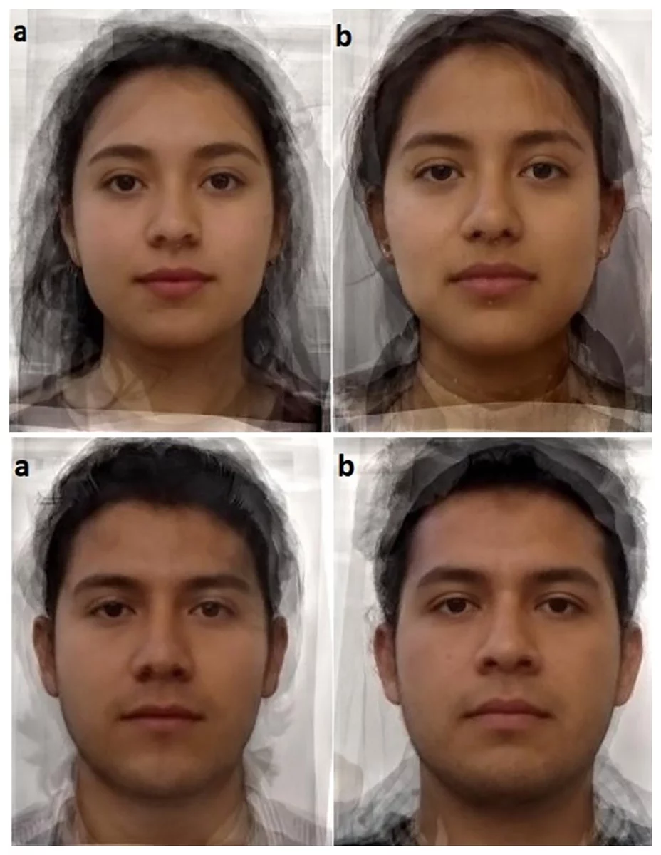 The above is a composite image merging 10 individual images together to preserve anonymity of study participants. The (a) images on the left are of men and women infected with T.Gondii and the (b) images are of uninfected participants.