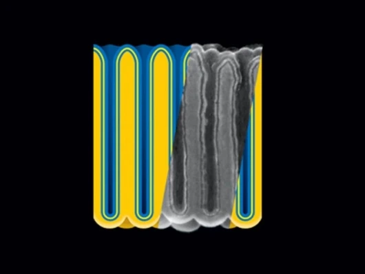 Electrostatic nanocapacitors formed in nanoporous anodic aluminum oxide (darker yellow) film by sequential atomic layer deposition of metal (blue), insulator (yellow), and metal. (Image credit: A. James Clark School of Engineering, U-Md.)