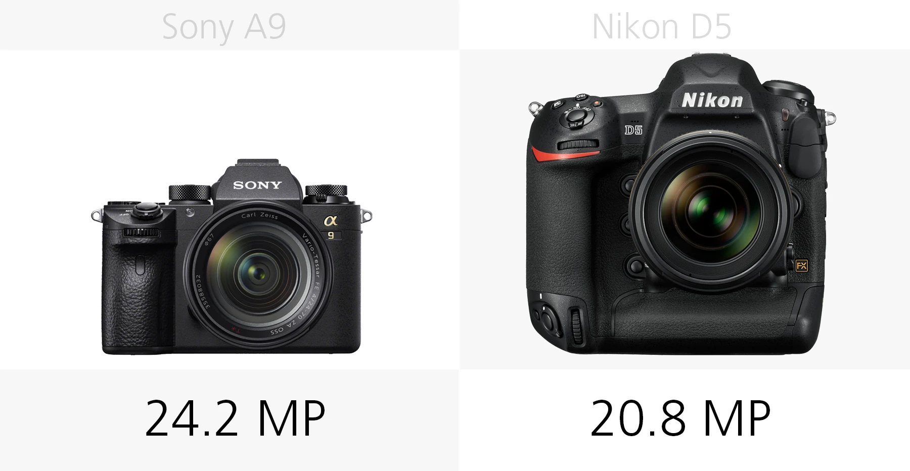 The megapixel count of the Sony A9 and Nikon D5 compared